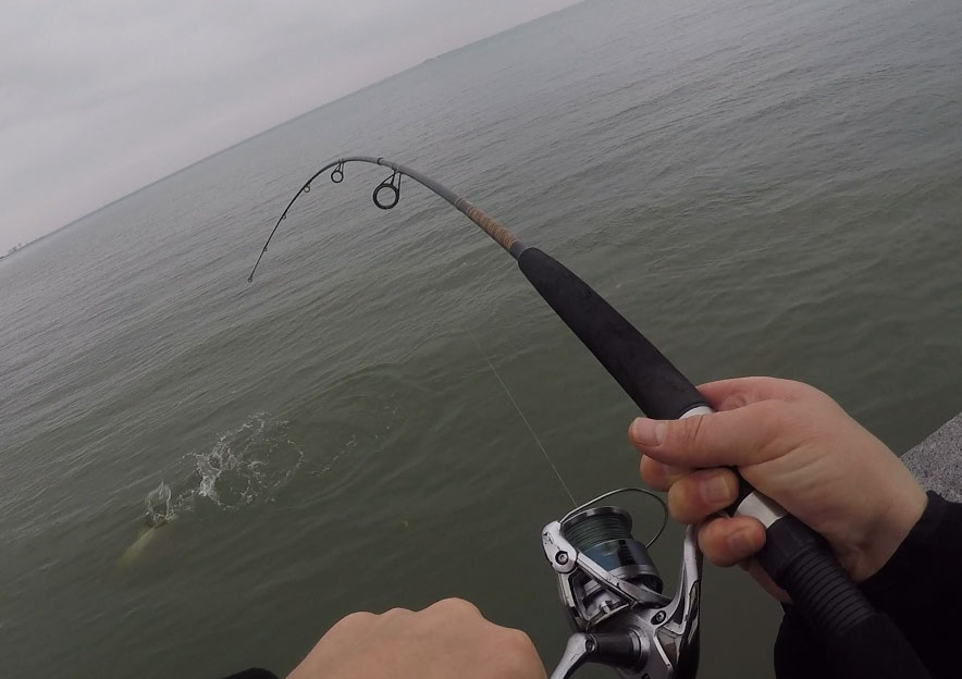 Best Musky Spinning Reel & Rod Combo Eternal Angler