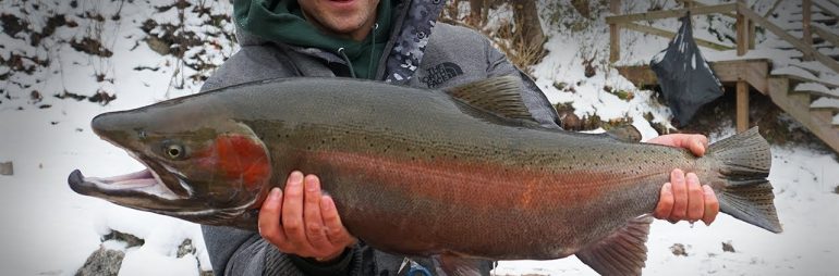 Jig Fishing Fall Steelhead in Michigan
