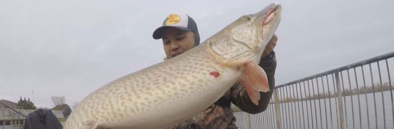 51″ Musky on Detroit River with a White Restless Rider