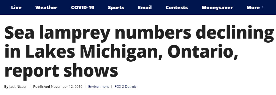 Sea Lamprey on Decline in Lake Michigan & Lake Ontario - Eternal Angler