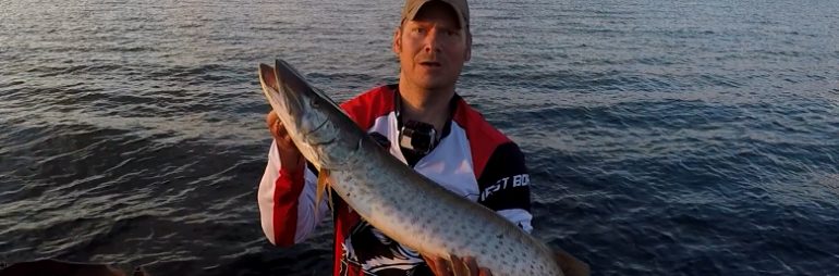 Musky at 9 Mile Pier