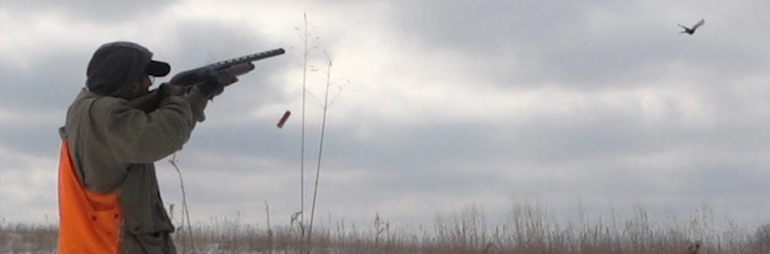 Pheasant Hunting & Chukar Chasing in Hartland Michigan