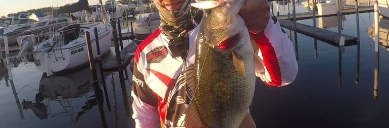 Big Largemouth Bass at Lake St. Clair Marina