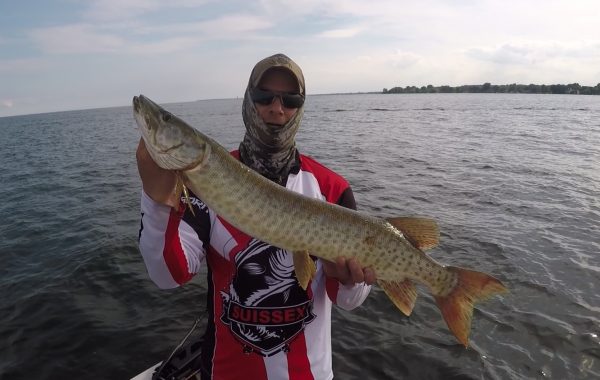 Musky at Spillway Lake St. Clair