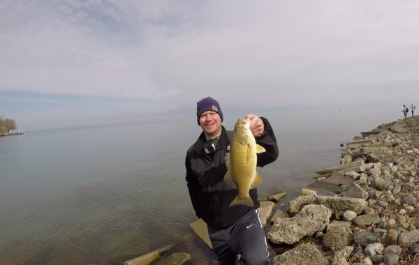 Smallmouth Bass at Lake St. Clair Metropark