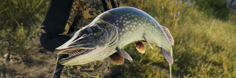 Enter the Fishing Matrix – Call Of The Wild: The Angler Open World Fishing Game