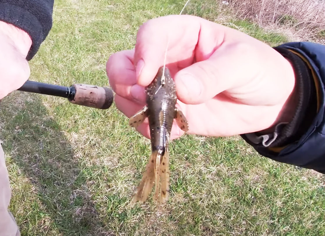 New Lifelike Goby Tube Bait for Smallmouth Bass Eternal Angler