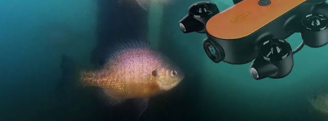 Geneinno T1 Underwater Drone Footage of Bluegill, Crappie, & Perch