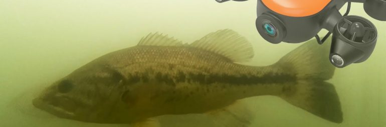 Underwater Footage Largemouth Bass at Emerald City Marina Lake St. Clair