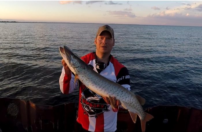 Musky at 9 Mile Pier