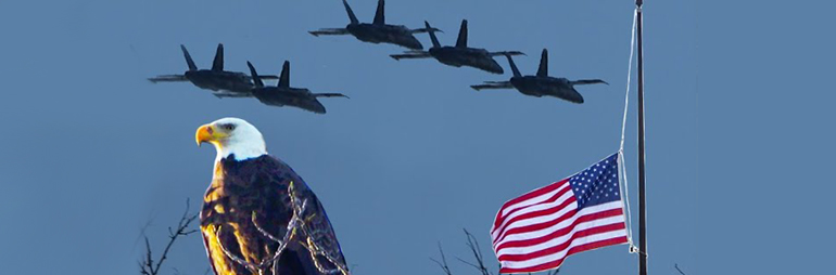 Blue Angels Buzz the 9 Mile Tower Lake St. Clair