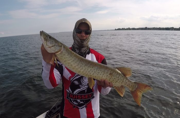 Musky at Spillway Lake St. Clair