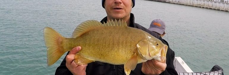 Smallmouth Bass on 4″ Chompers Tube Green Pumpkin