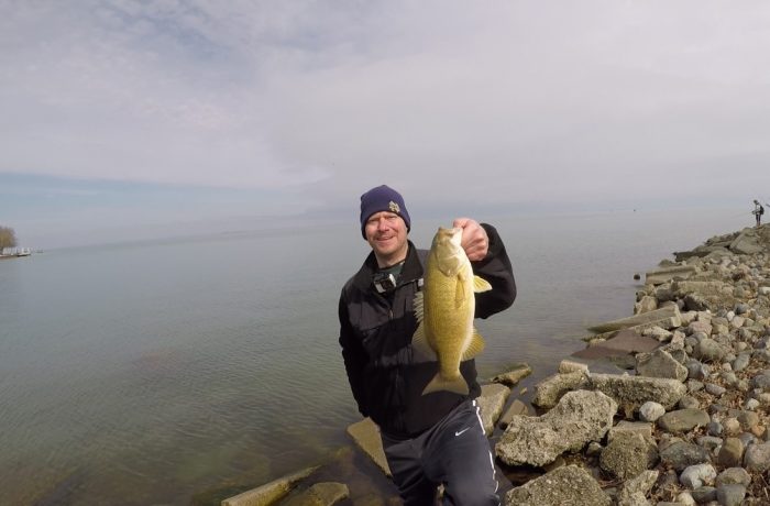 Smallmouth Bass at Lake St. Clair Metropark