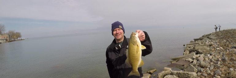 Smallmouth Bass at Lake St. Clair Metropark