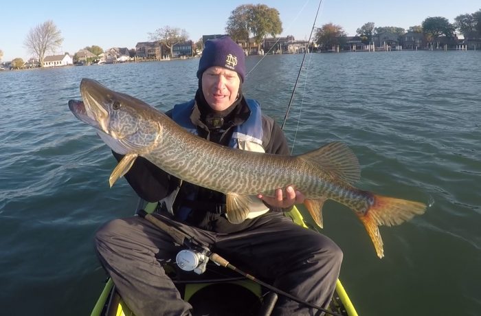 Tiger Musky Trolling on Hobie Kayak Lake St. Clair